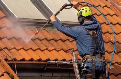 Démoussage et hydrofuge de toiture à Écueillé